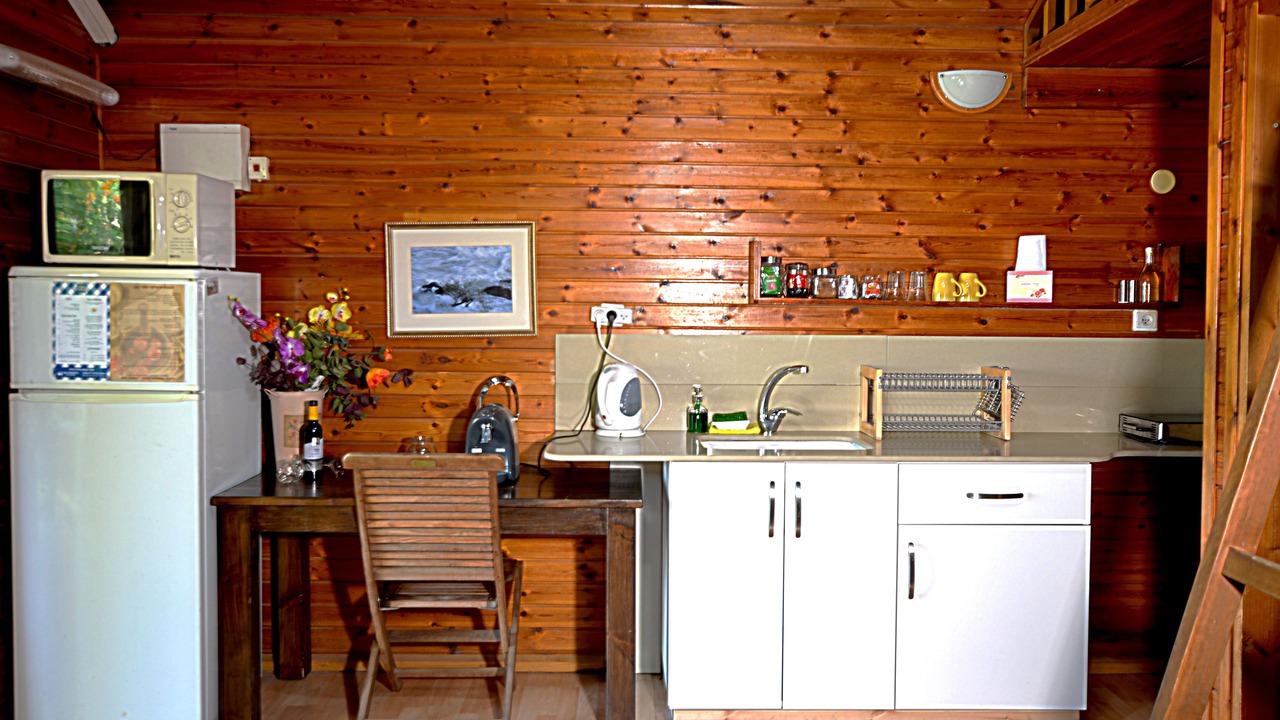 Photo of Kitchen in Ramot
