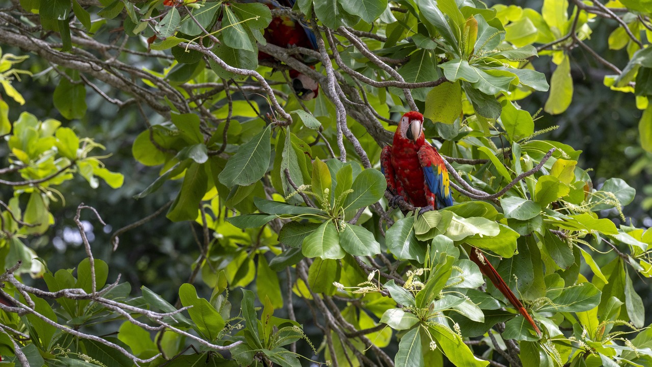 Photo of Outdoor in Playa Hermosa