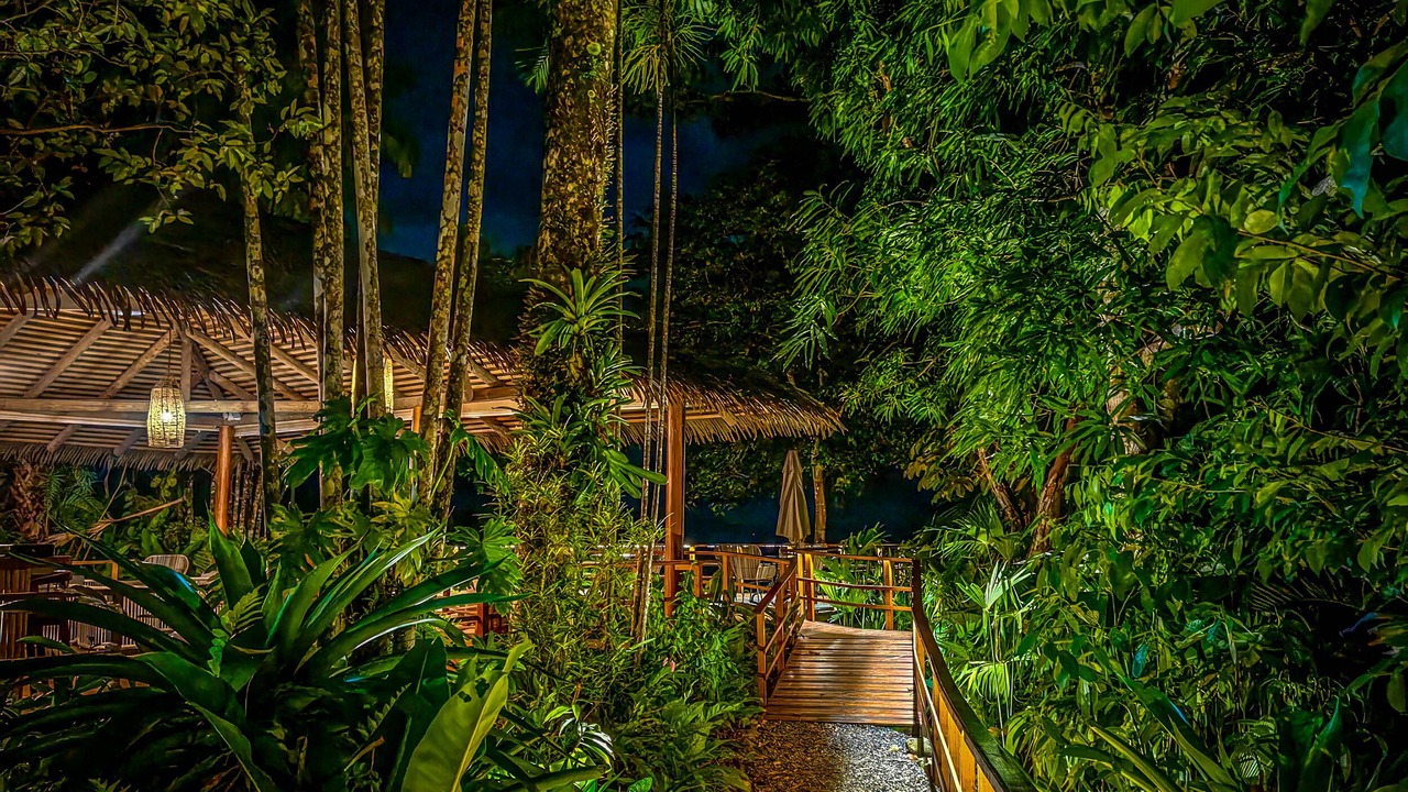Photo of Outdoor in Puerto Jimenez
