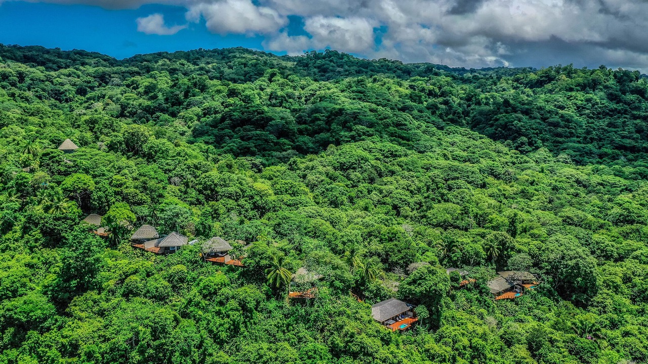 Photo of Outdoor in Puerto Jimenez