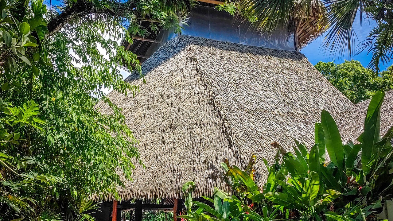 Photo of Outdoor in Puerto Jimenez