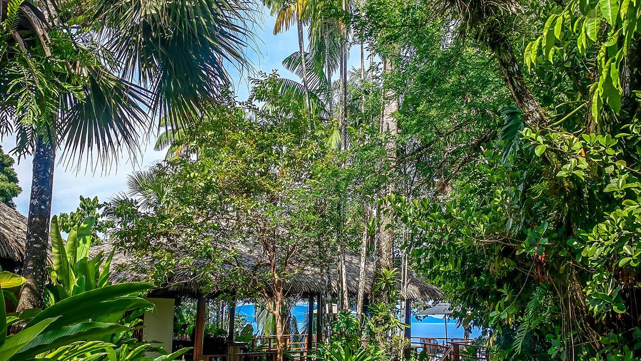 Photo of Outdoor in Puerto Jimenez