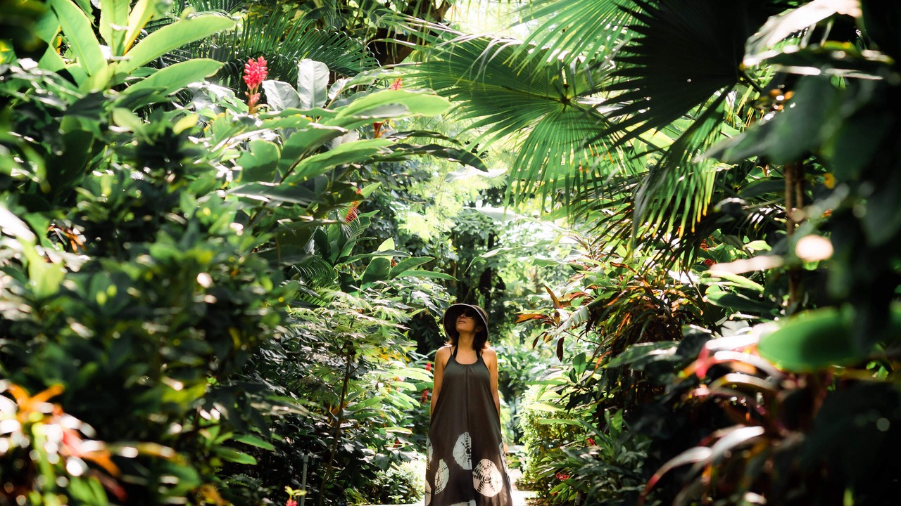 Photo of Outdoor in Potrero