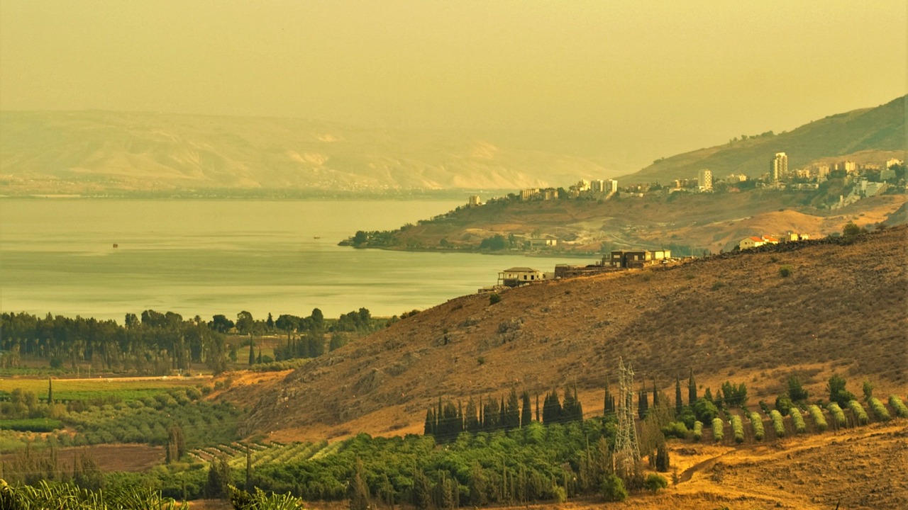 Photo of Others in Livnim