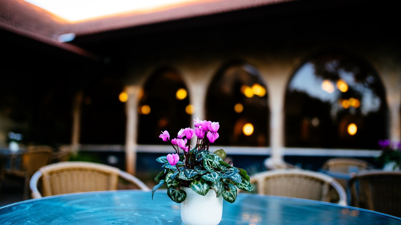Photo of Outdoor in HaGoshrim