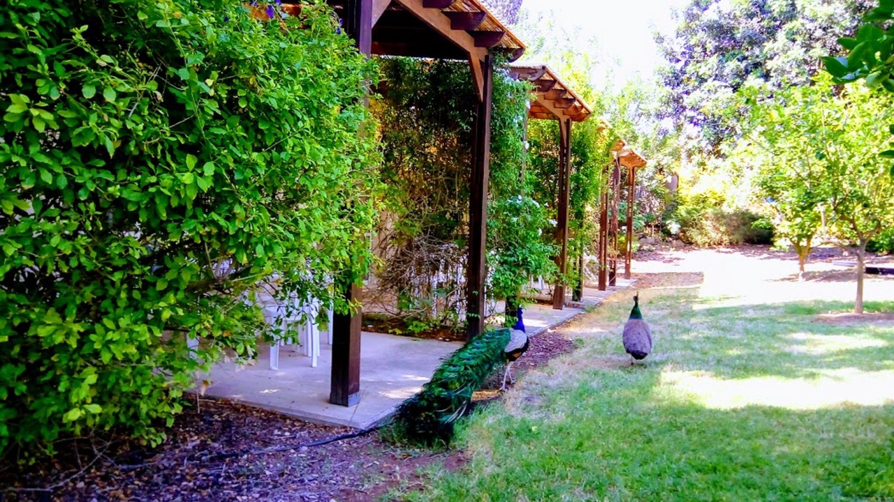 Photo of Outdoor in Tirat Zvi