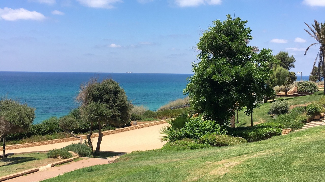 Photo of Others in Netanya