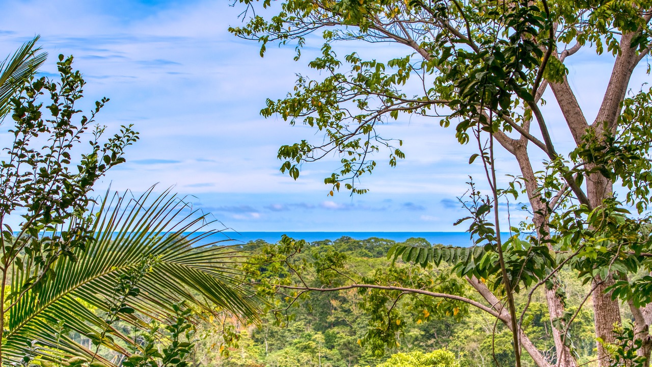 Photo of Bedroom in Puerto Viejo de Talamanca