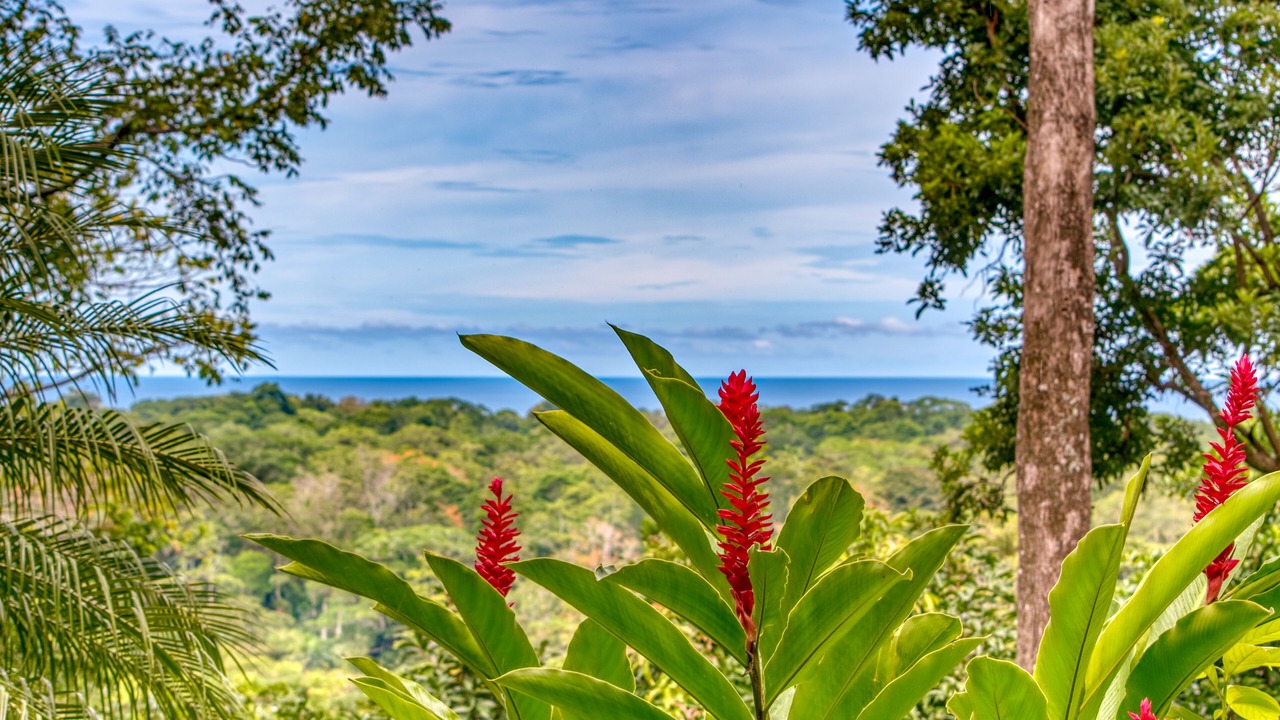 Photo of Outdoor in Puerto Viejo de Talamanca