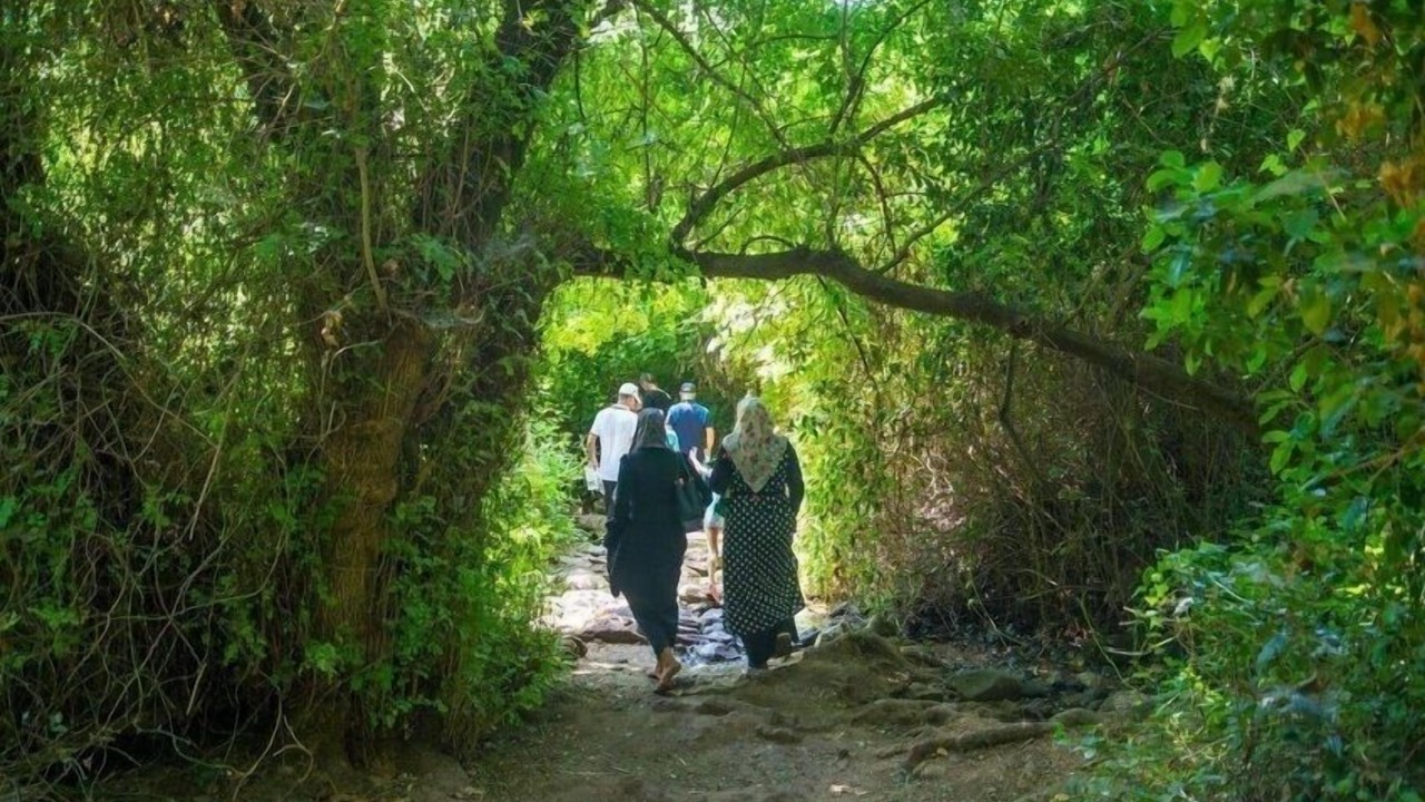 Photo of Outdoor in Nof Kinneret