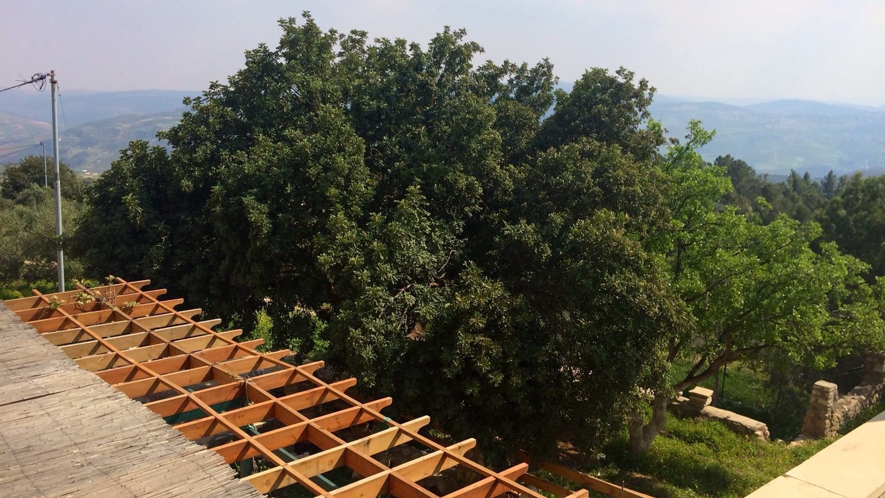 Photo of Patio Balcony in Borma