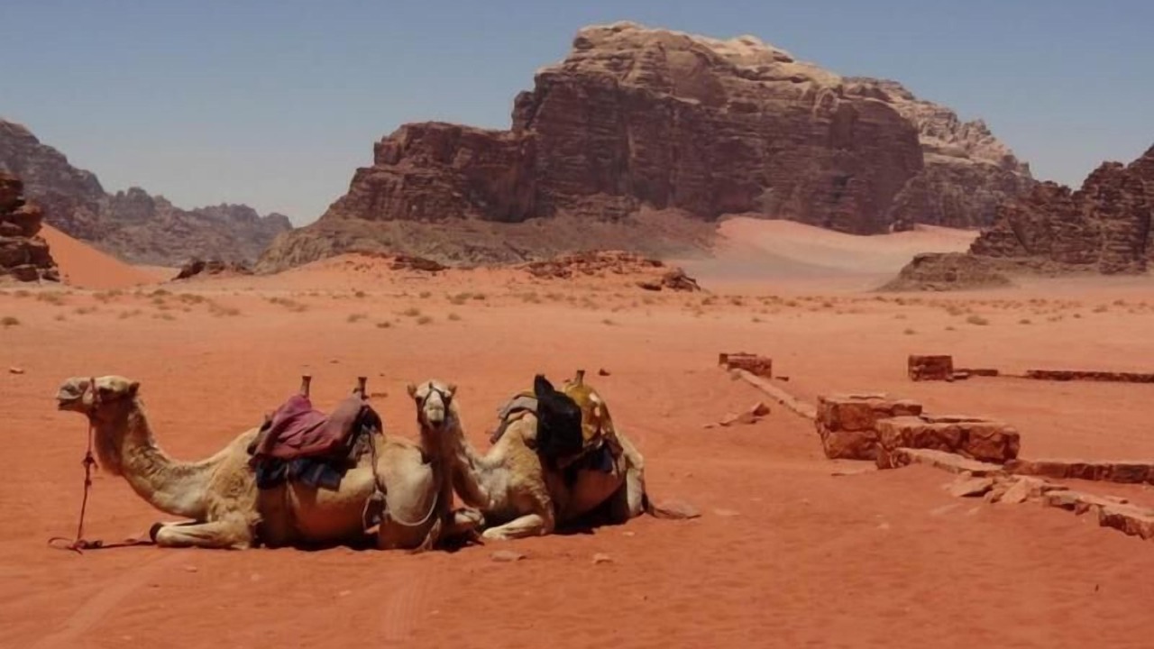Photo of Others in Wadi Rum