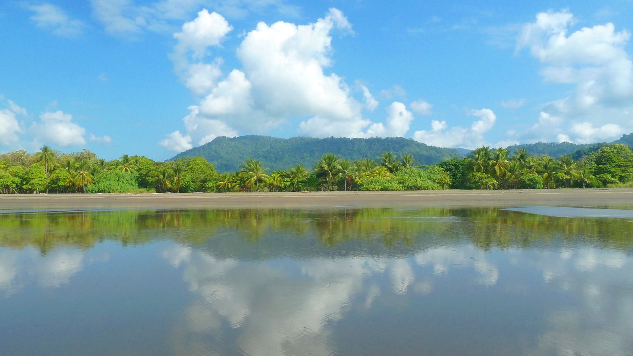 Photo of Others in Playa Matapalo