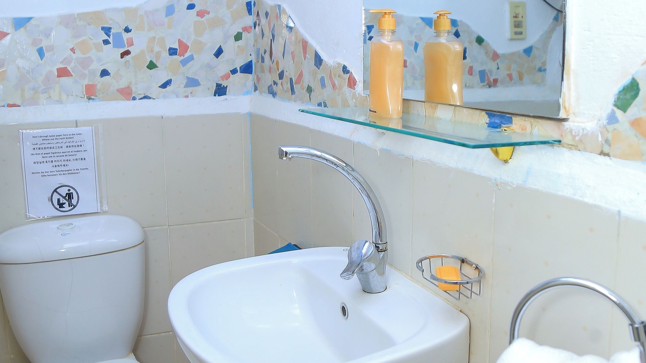 Photo of Bathroom in Aswan