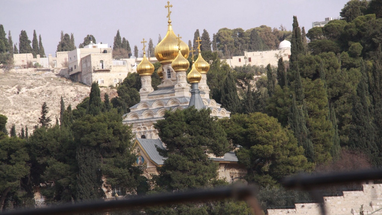 Photo of Outdoor in Bayit VeGan