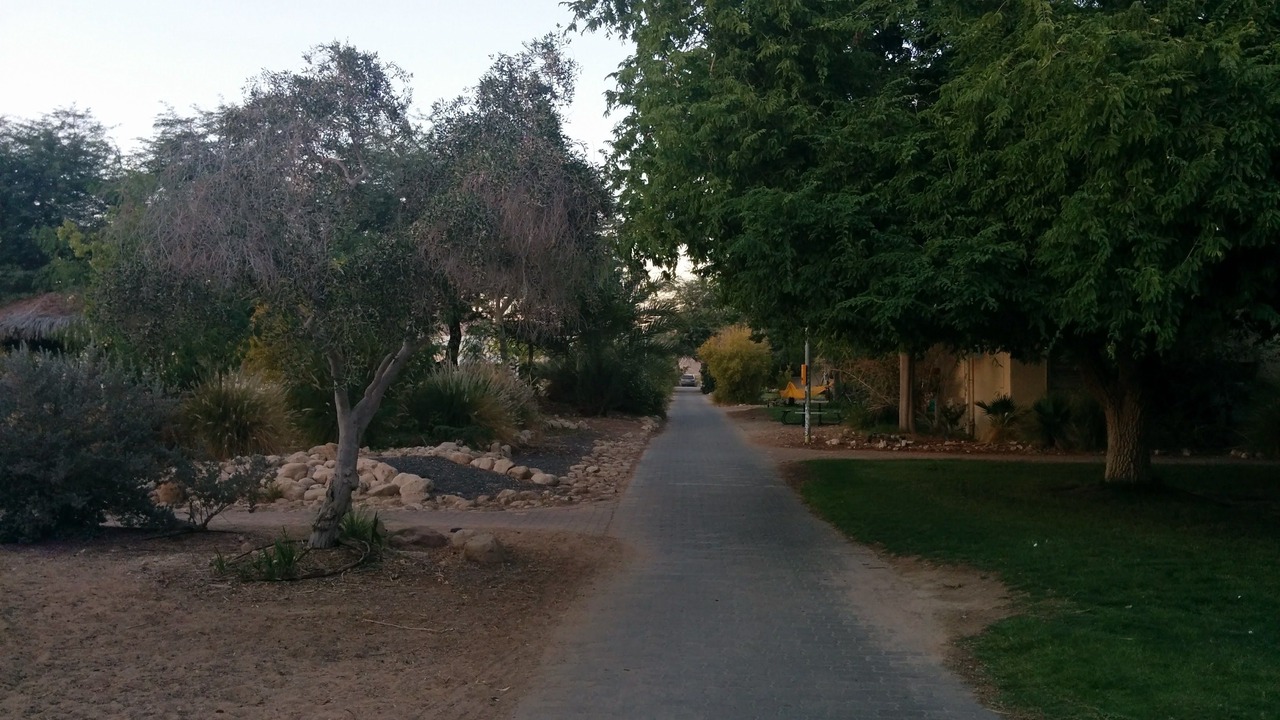 Photo of Outdoor in Lotan