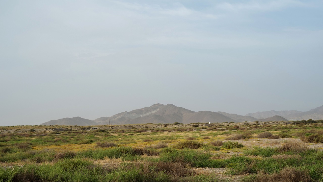 Photo of Others in Kalba