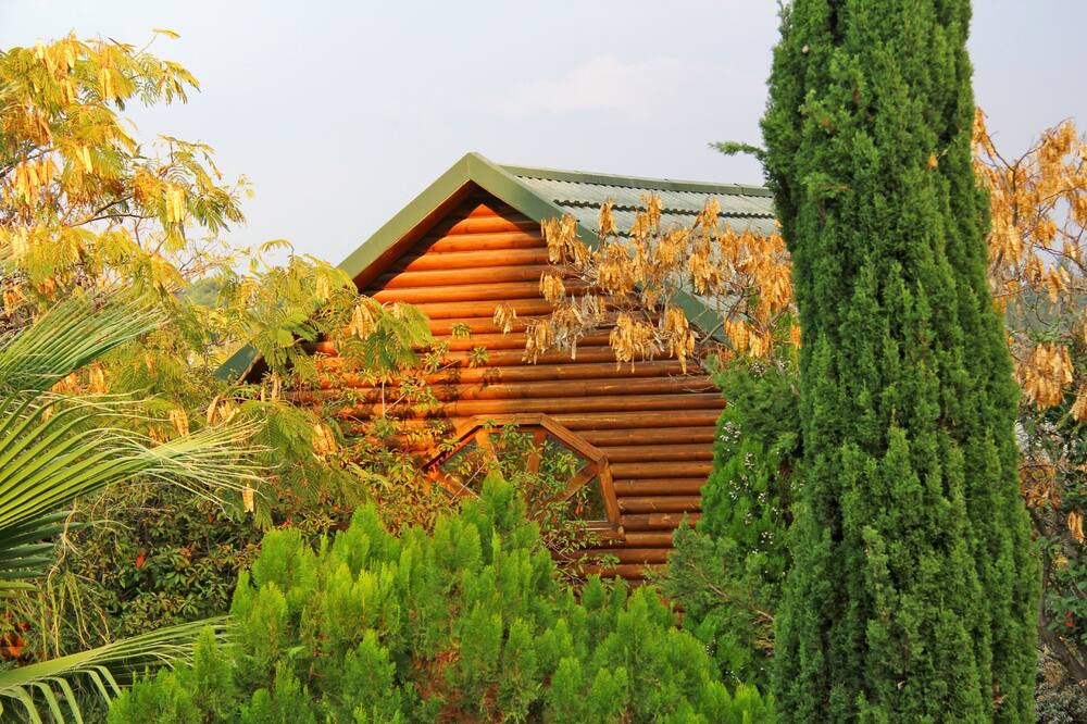 Photo of Outdoor in Rosh Pinna
