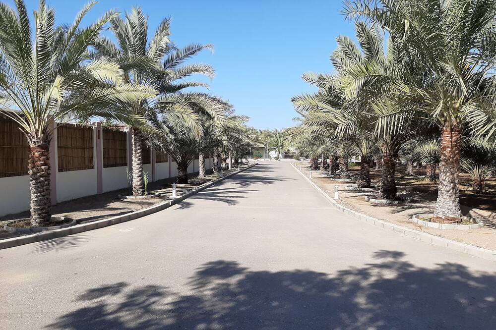 Photo of Outdoor in Seeb
