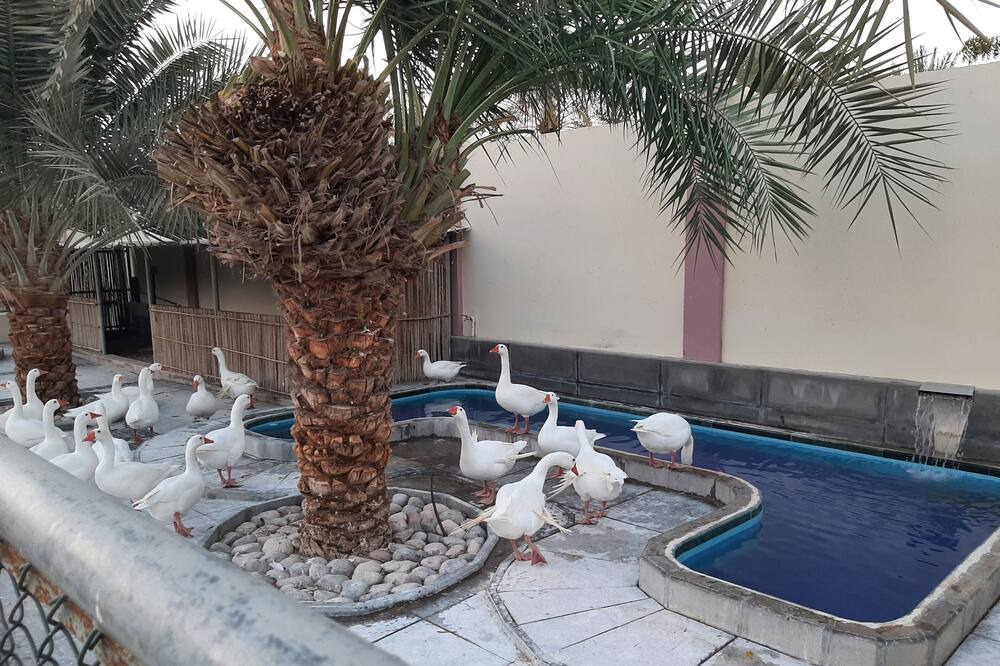 Photo of Others in Seeb