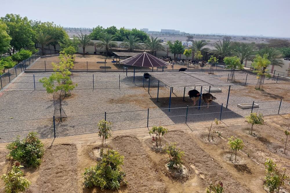 Photo of Others in Seeb