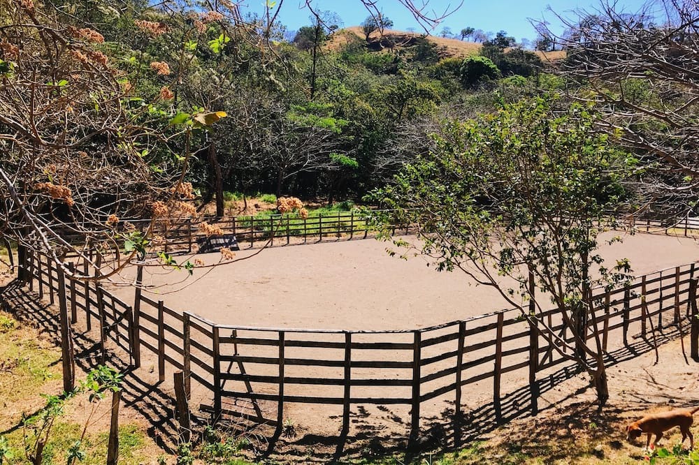 Photo of Outdoor in Tajo Alto