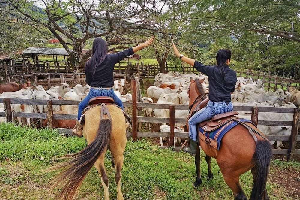 Photo of Outdoor in Tajo Alto