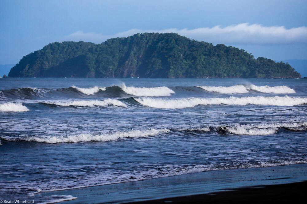 Photo of Others in Jaco