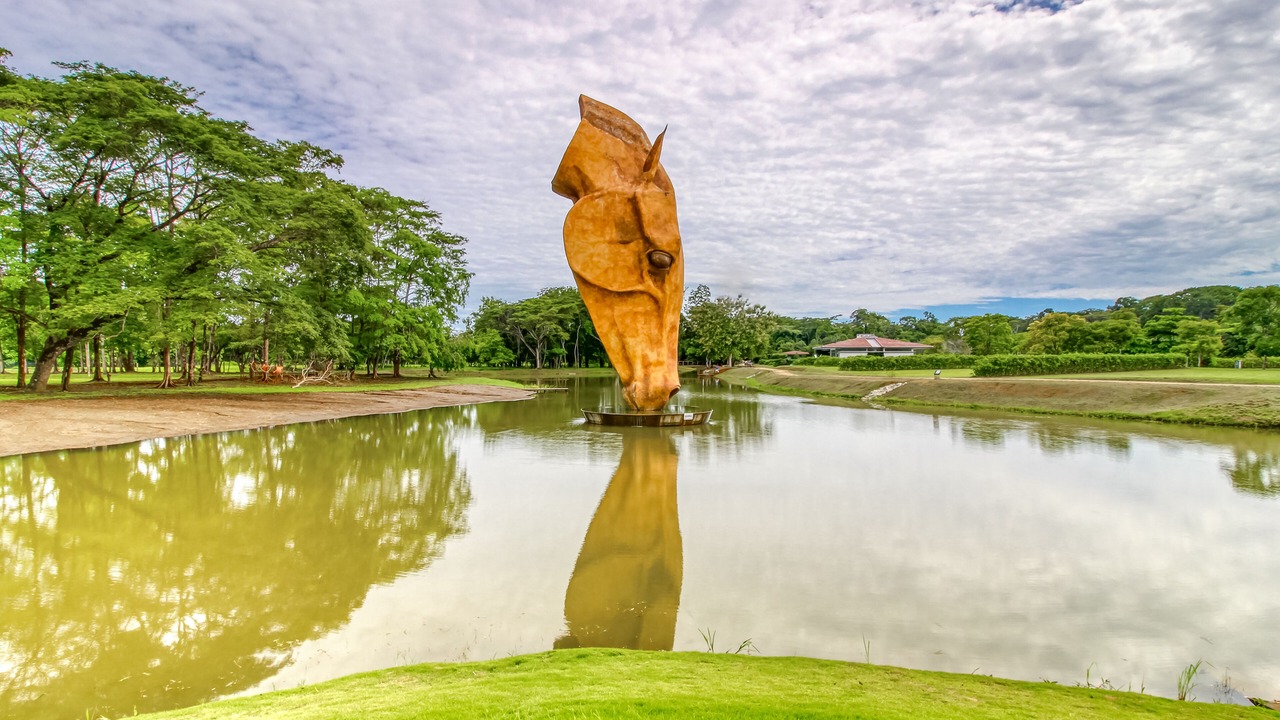 Photo of Others in Jaco