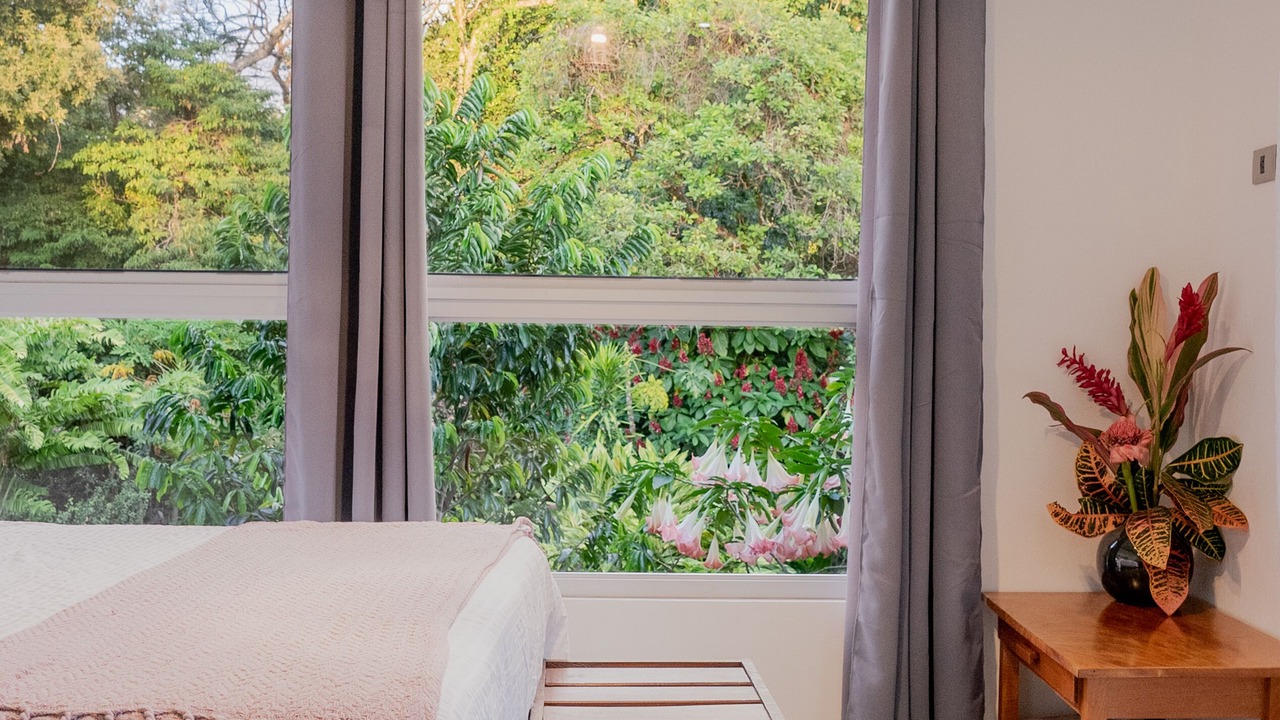 Photo of Outdoor in Rio Naranjo