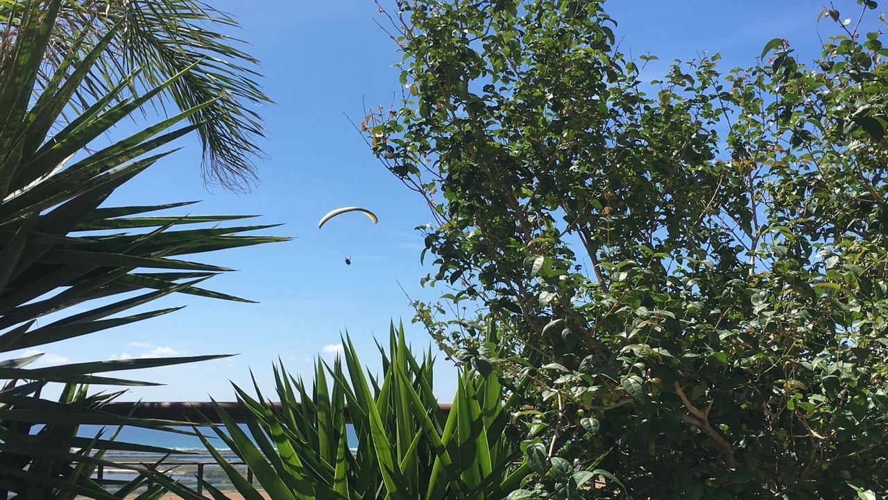 Photo of Outdoor in Zikhron Ya'aqov