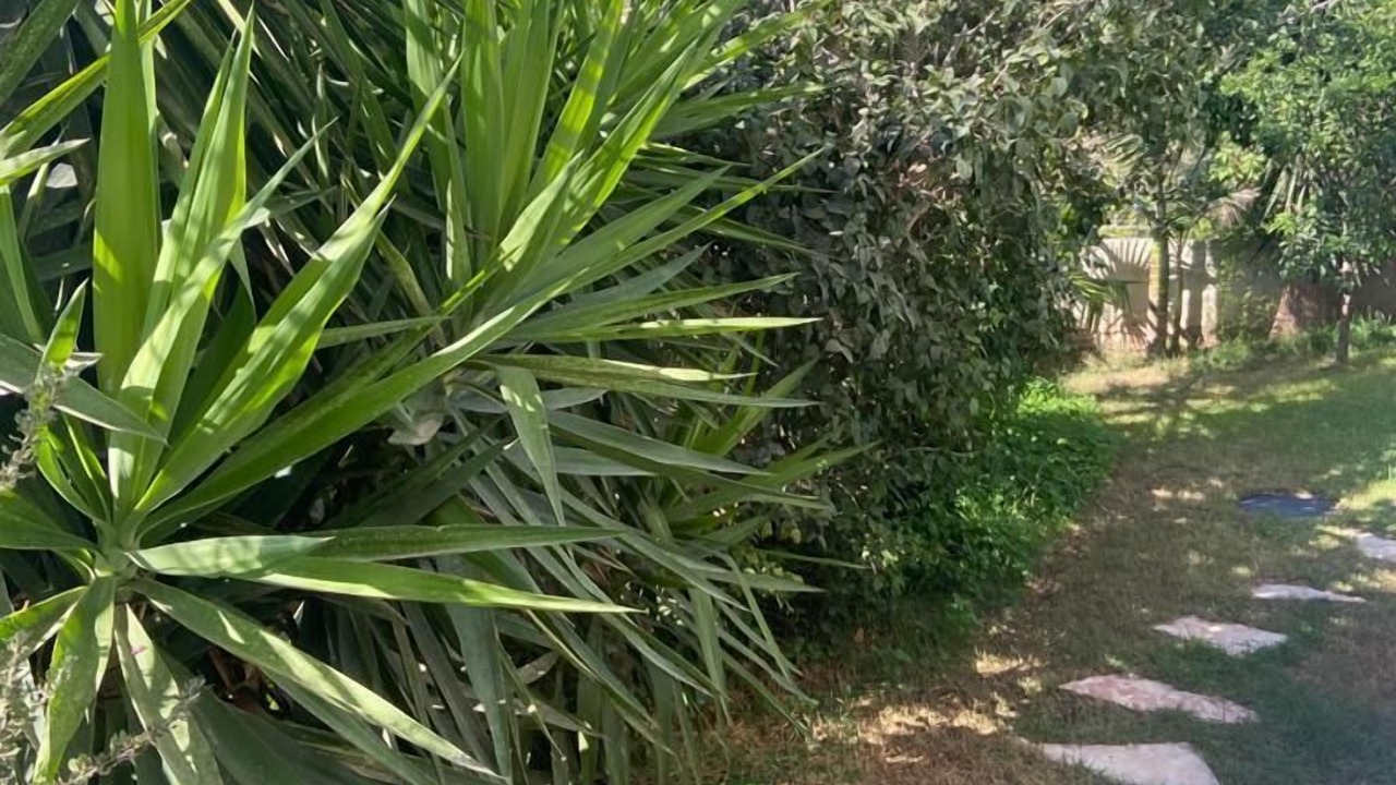 Photo of Outdoor in Zikhron Ya'aqov