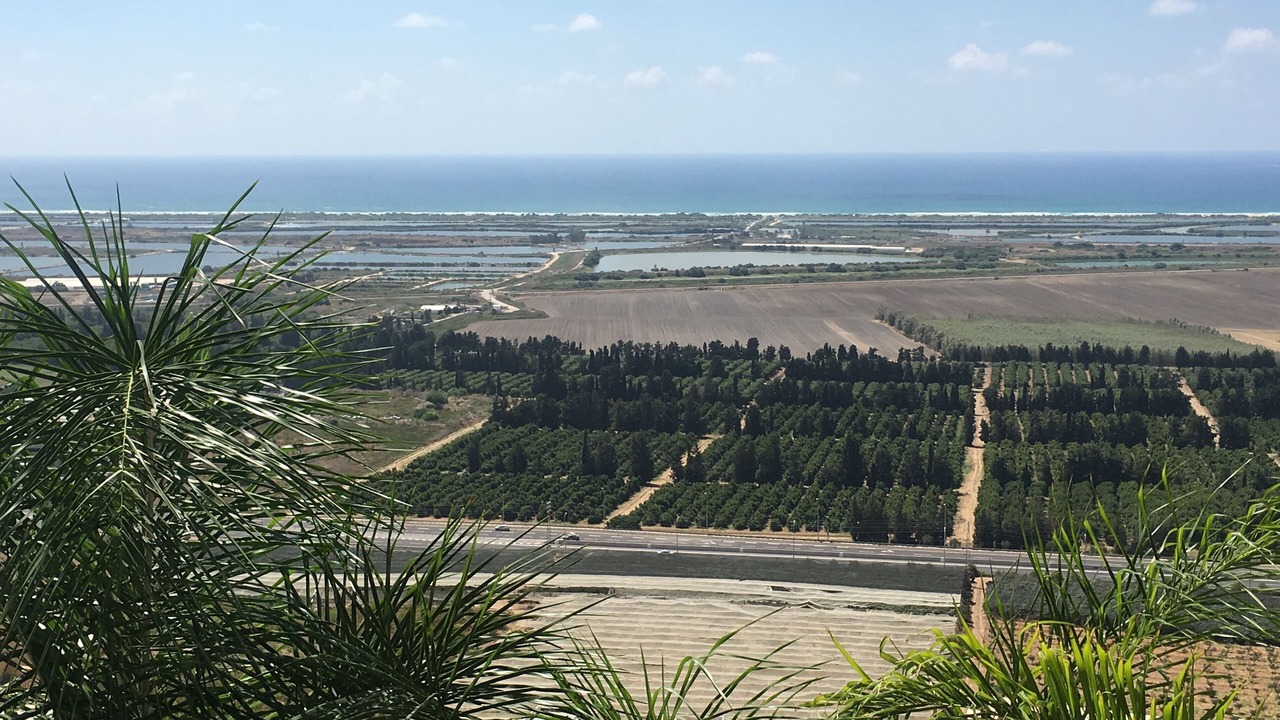 Photo of Others in Zikhron Ya'aqov