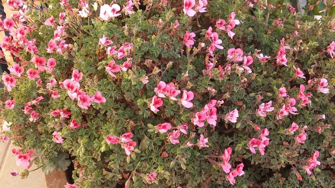 Photo of Outdoor in Nof Kinneret
