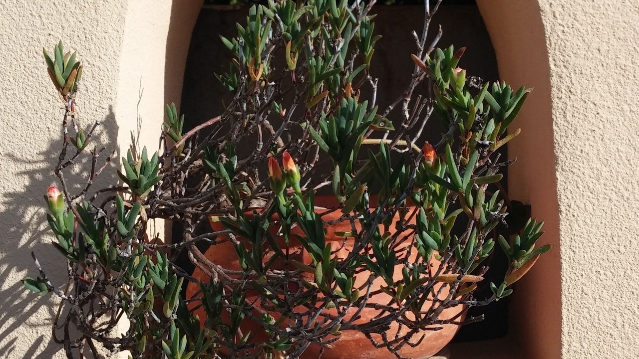 Photo of Outdoor in Nof Kinneret