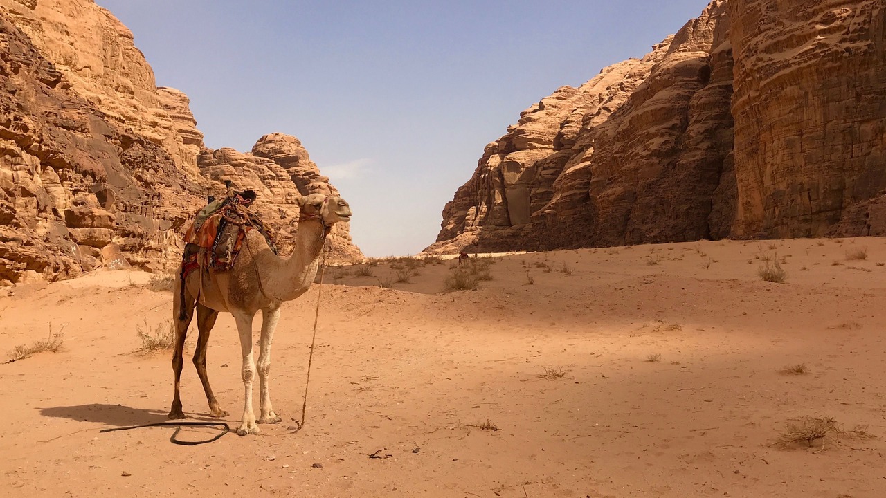 Photo of Outdoor in Wadi Rum