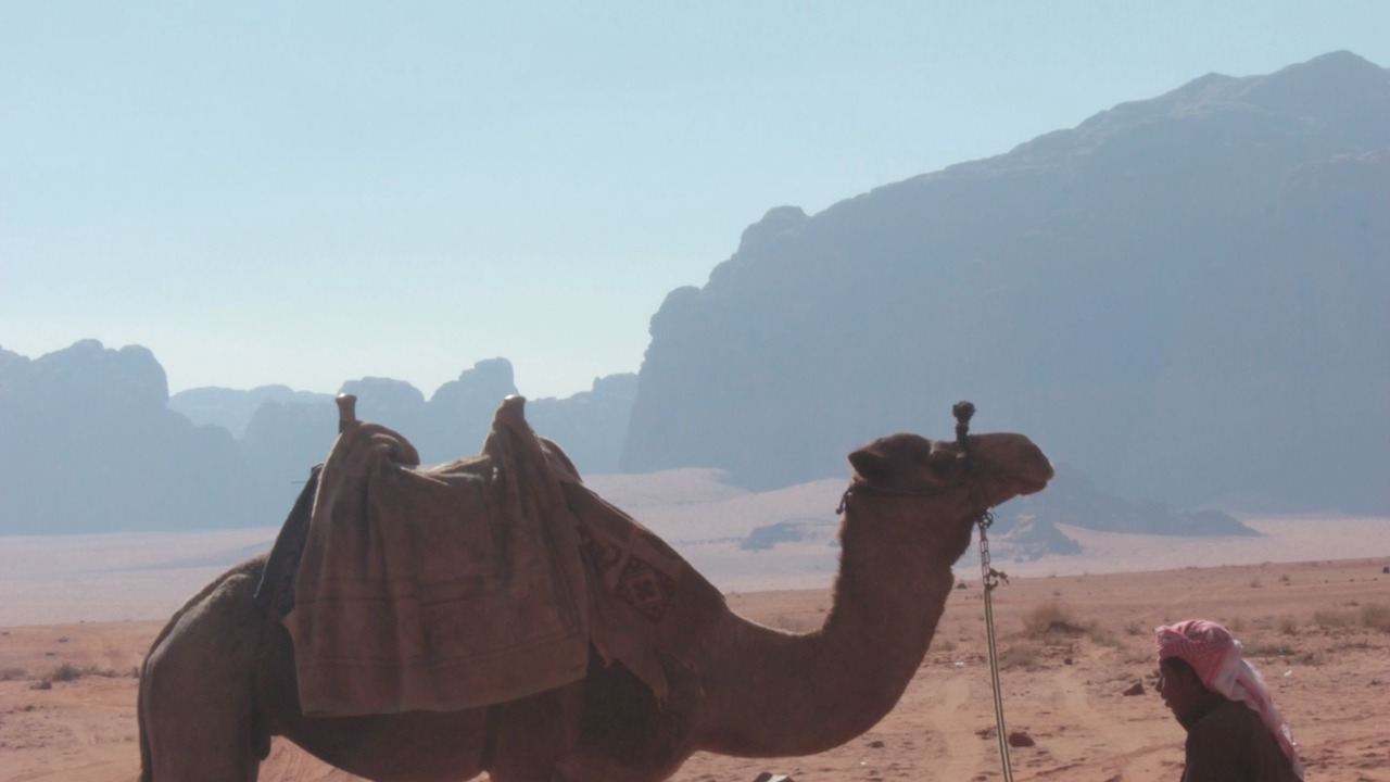 Photo of Others in Wadi Rum