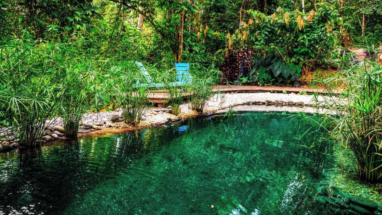 Photo of Outdoor in Cahuita