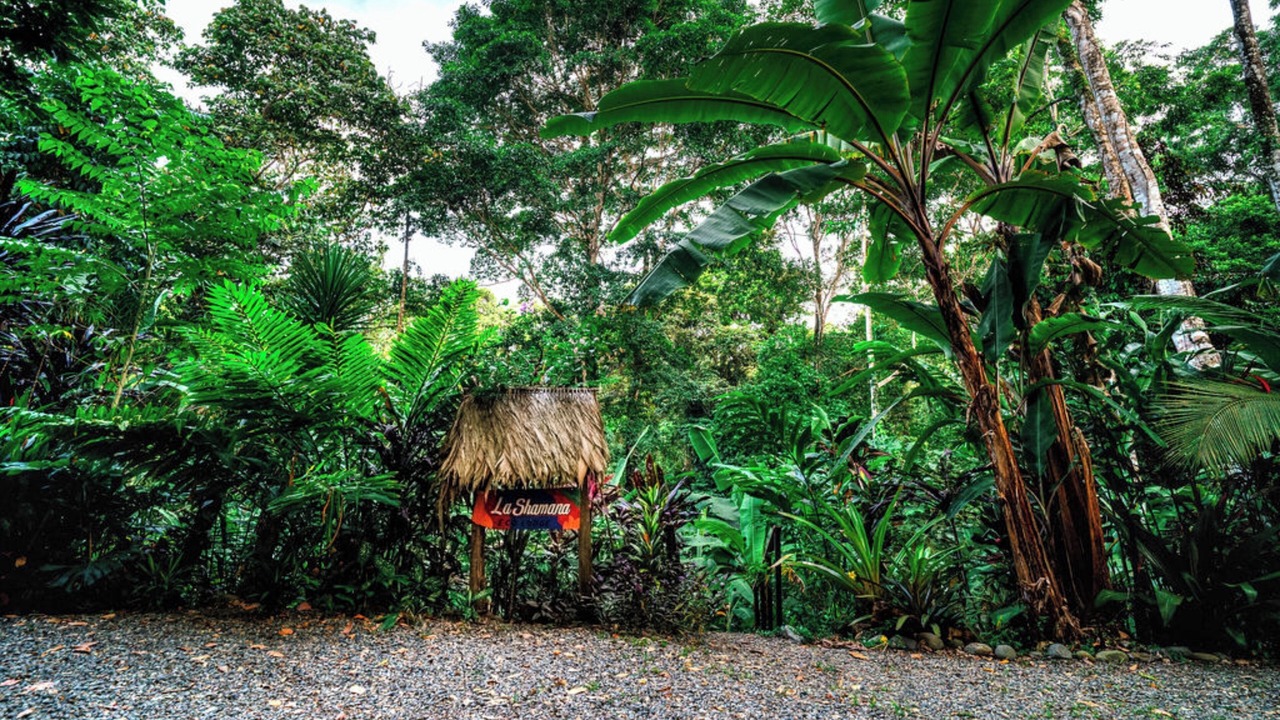 Photo of Outdoor in Cahuita