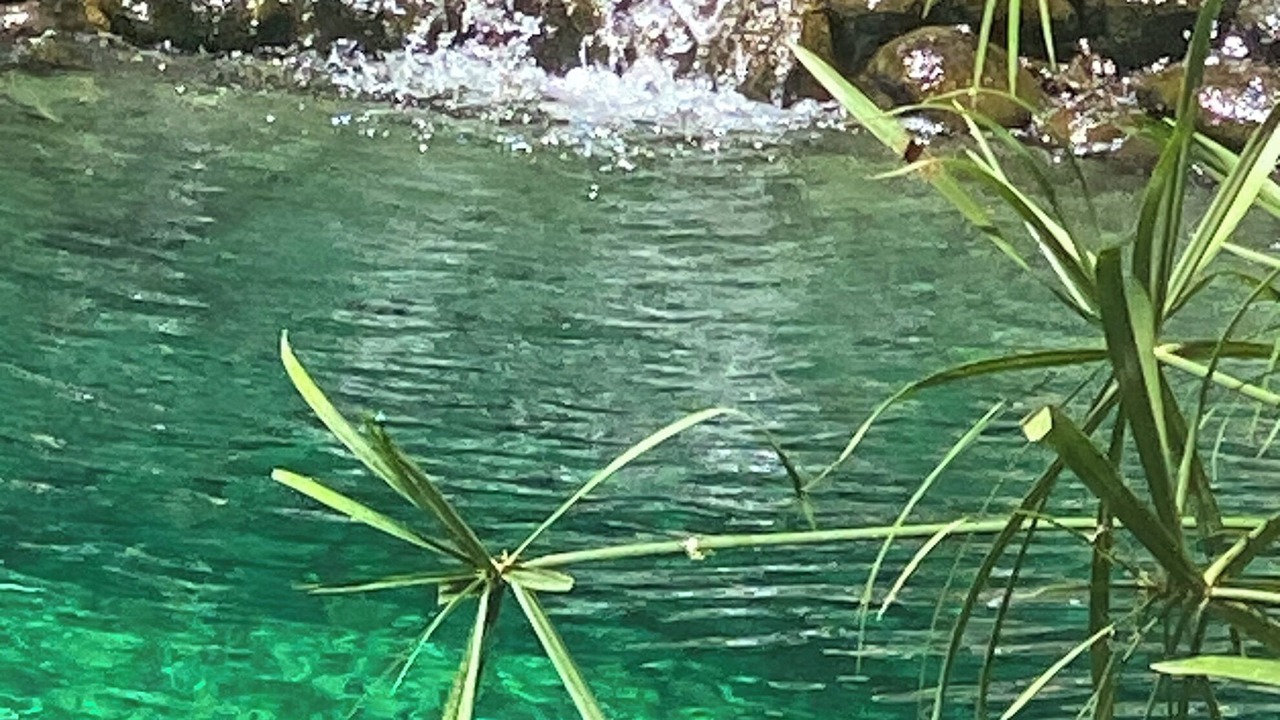 Photo of Outdoor in Cahuita