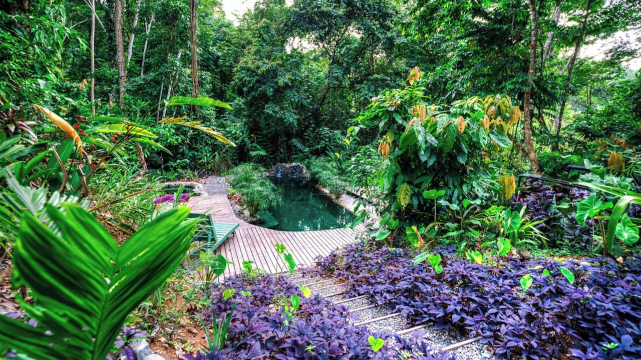 Photo of Outdoor in Cahuita