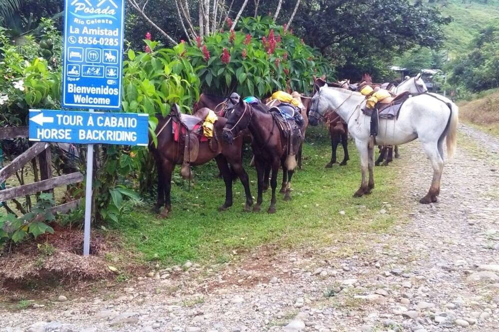 Photo of Outdoor in Palmira