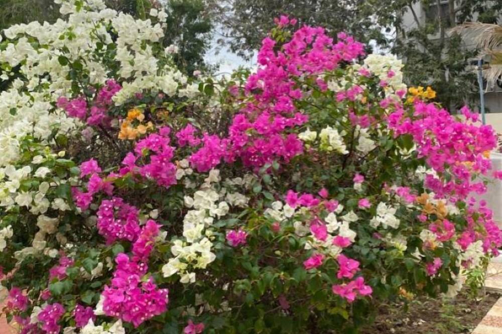 Photo of Outdoor in Al Ghubrah Ash Shamaliyyah