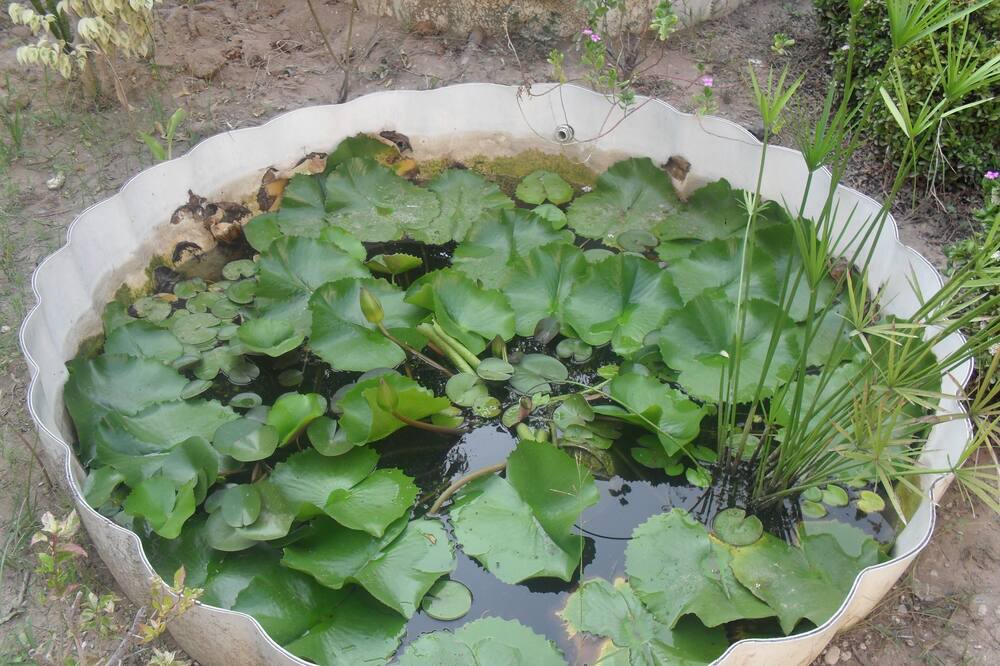 Photo of Outdoor in Al Ghubrah Ash Shamaliyyah