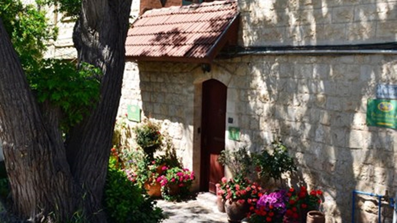 Photo of Others in Safed Old City