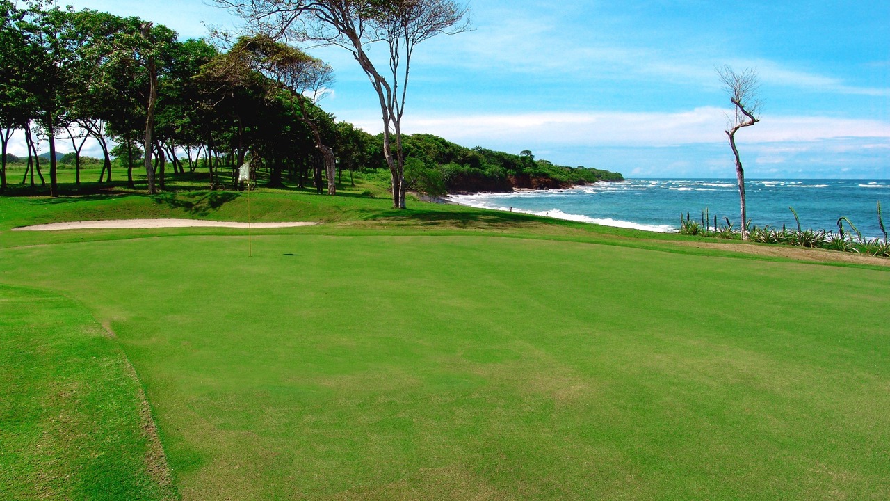 Photo of Others in Tamarindo