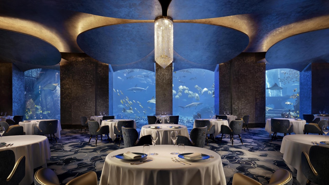Photo of Others in Palm Jumeirah