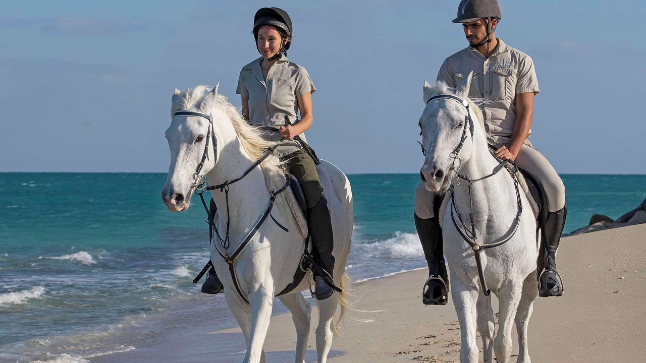 Photo of Others in Sir Bani Yas Island