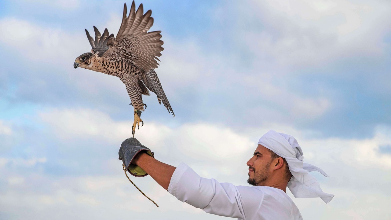 Photo of Others in Sir Bani Yas Island