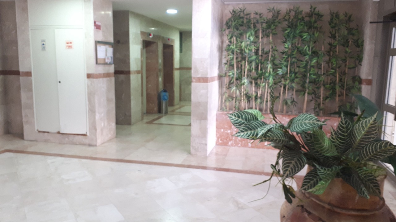 Photo of Others in Ashdod